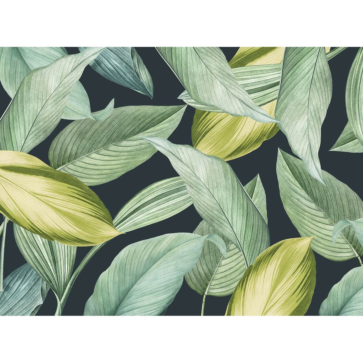 Papier peint panoramique feuilles vert lime intissé, HEXOA
