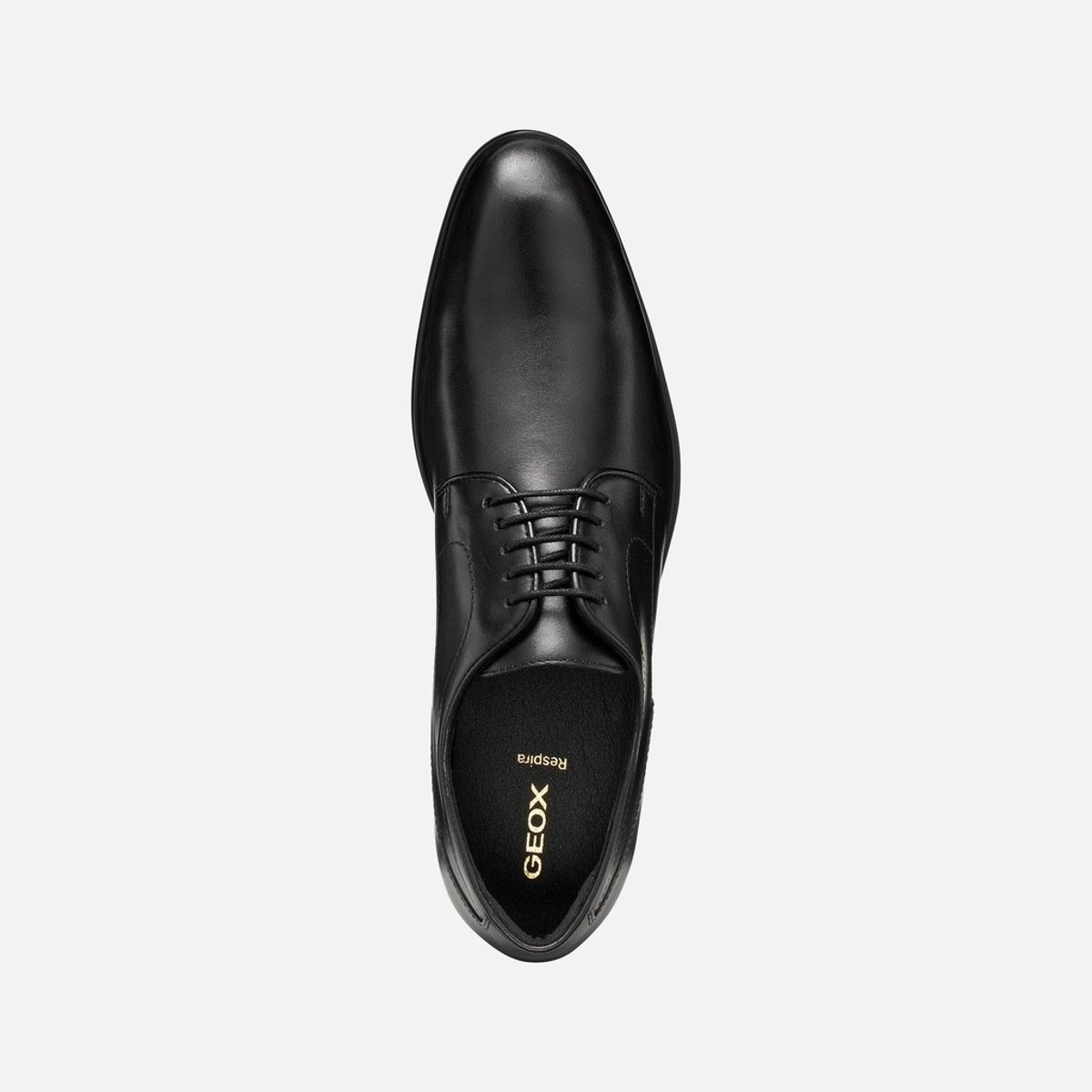 Derbies en cuir, THALOS noir, GEOX