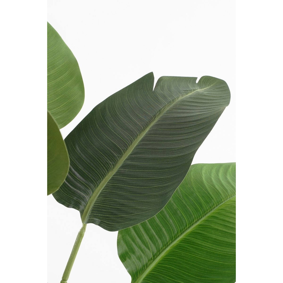Plante artificielle BANANA TREE vert, MICA DECORATIONS