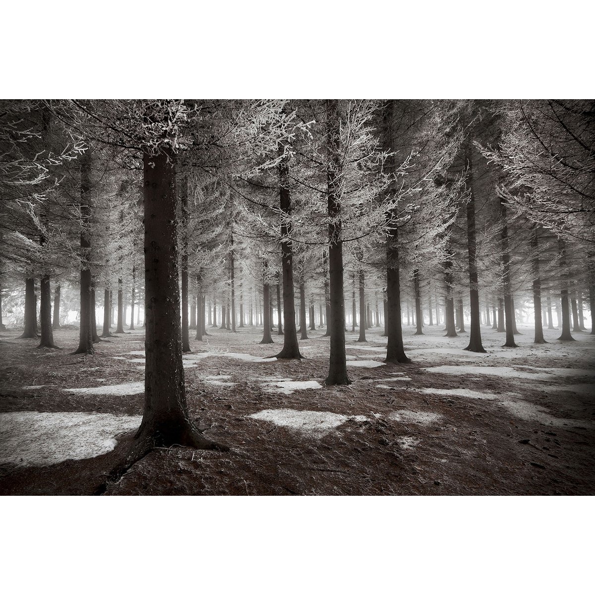 Tableau deco debut d'hiver tableau alu dibond, HEXOA