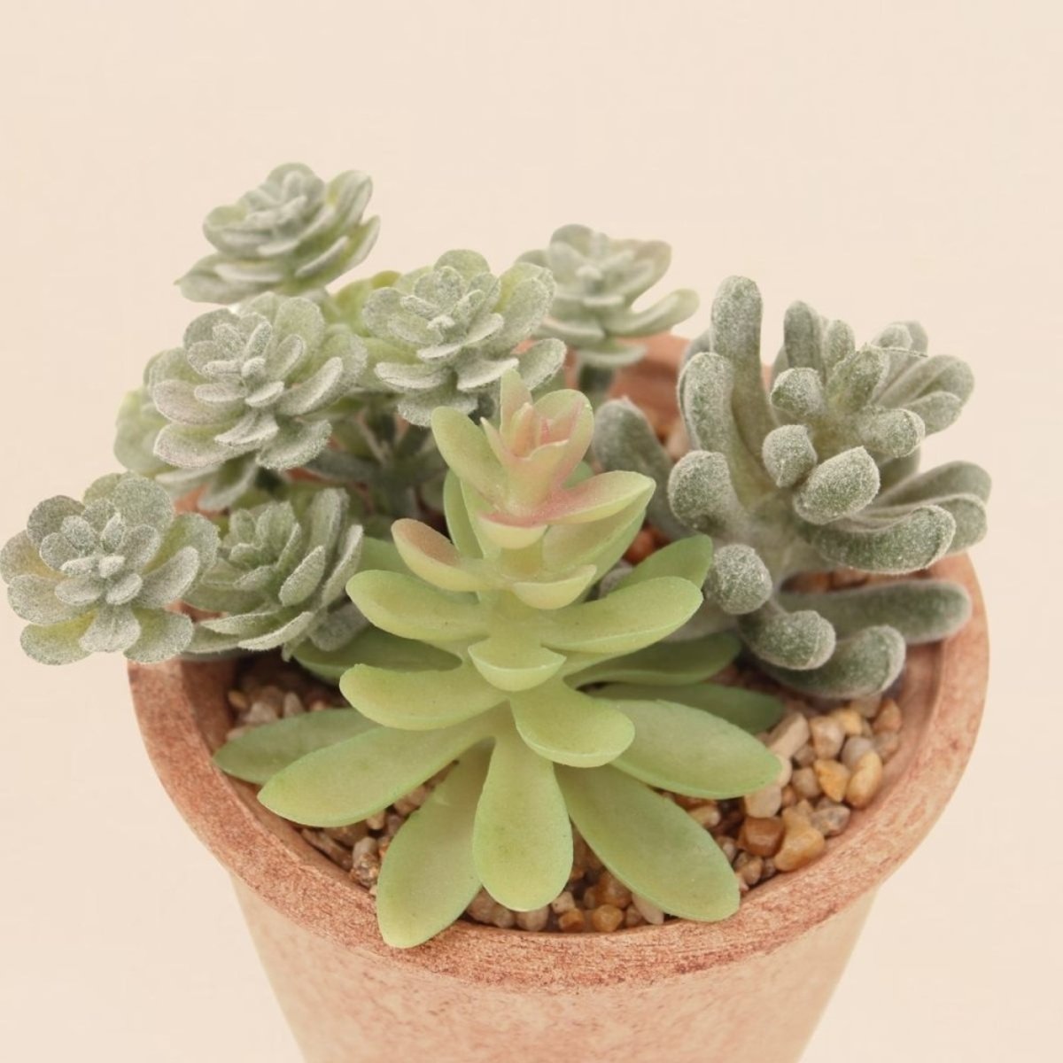 Plantes grasses artificielles 18cm vert, ORNAMI