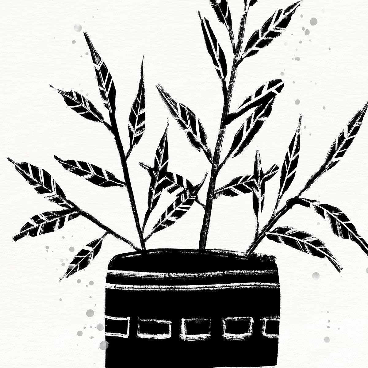 Illustration Botanique et Poterie terre cuite affiche + cadre en bois - noir, HEXOA