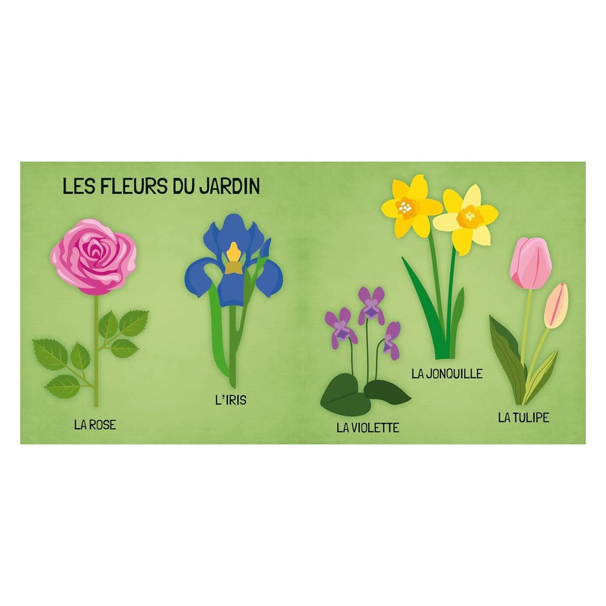 Livre et puzzle Les fleurs vert, SASSI JUNIOR