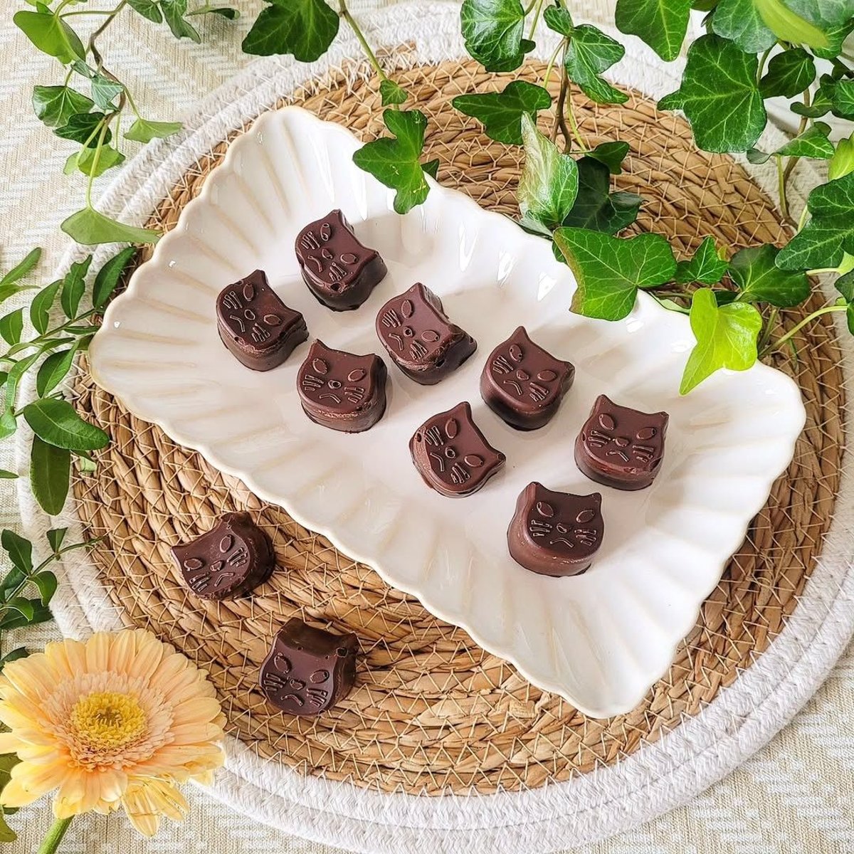 Lot de 6 petites assiettes rectangulaires, Coquillage blanc, ARTIME
