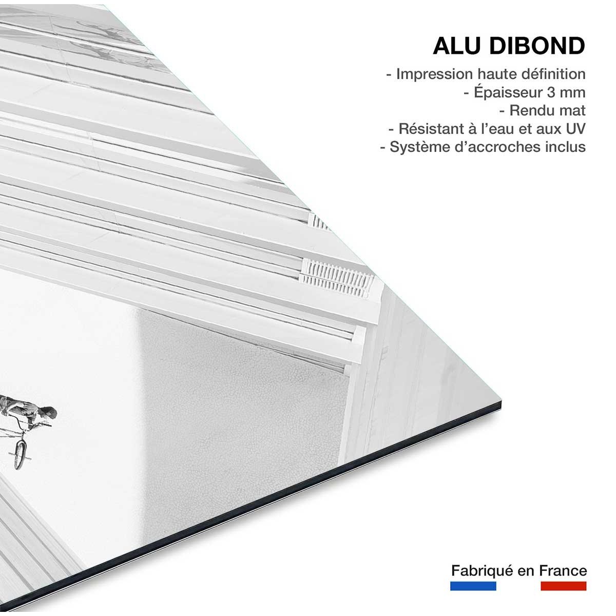 Tableau design Freestyle art tableau alu dibond, HEXOA