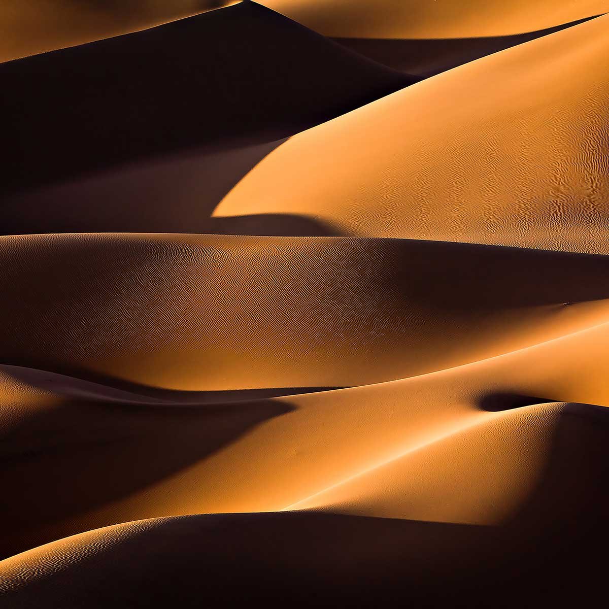 Tableau dune et lumière tableau alu dibond, HEXOA