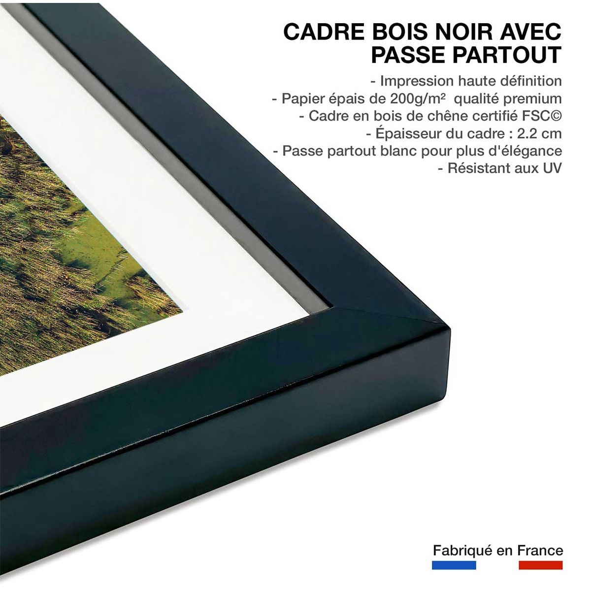 Affiche végétaux et flore aquatique affiche + cadre en bois - noir, HEXOA