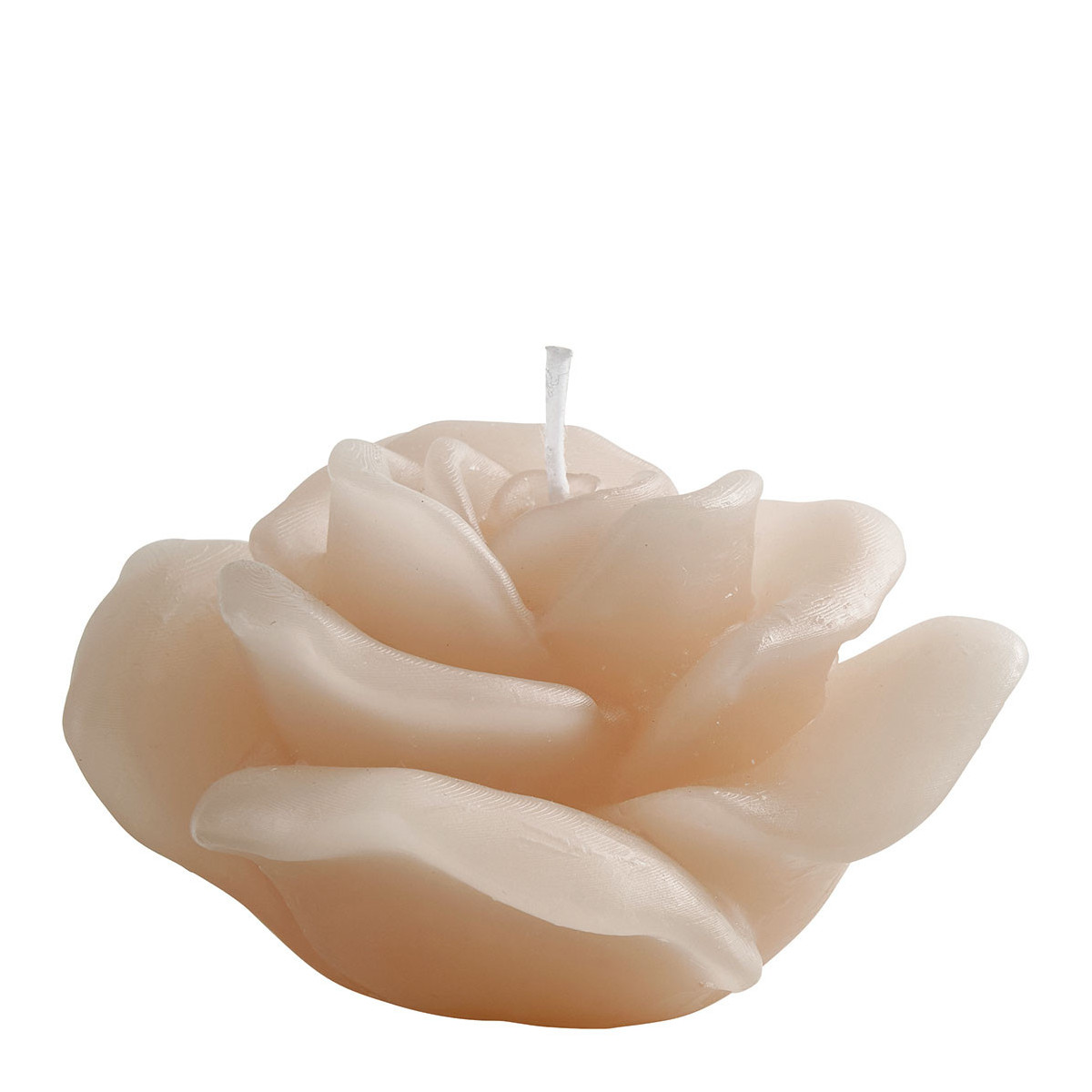 Set de 6 bougies décoratives parfumées Rose multicolore, MATHILDE M