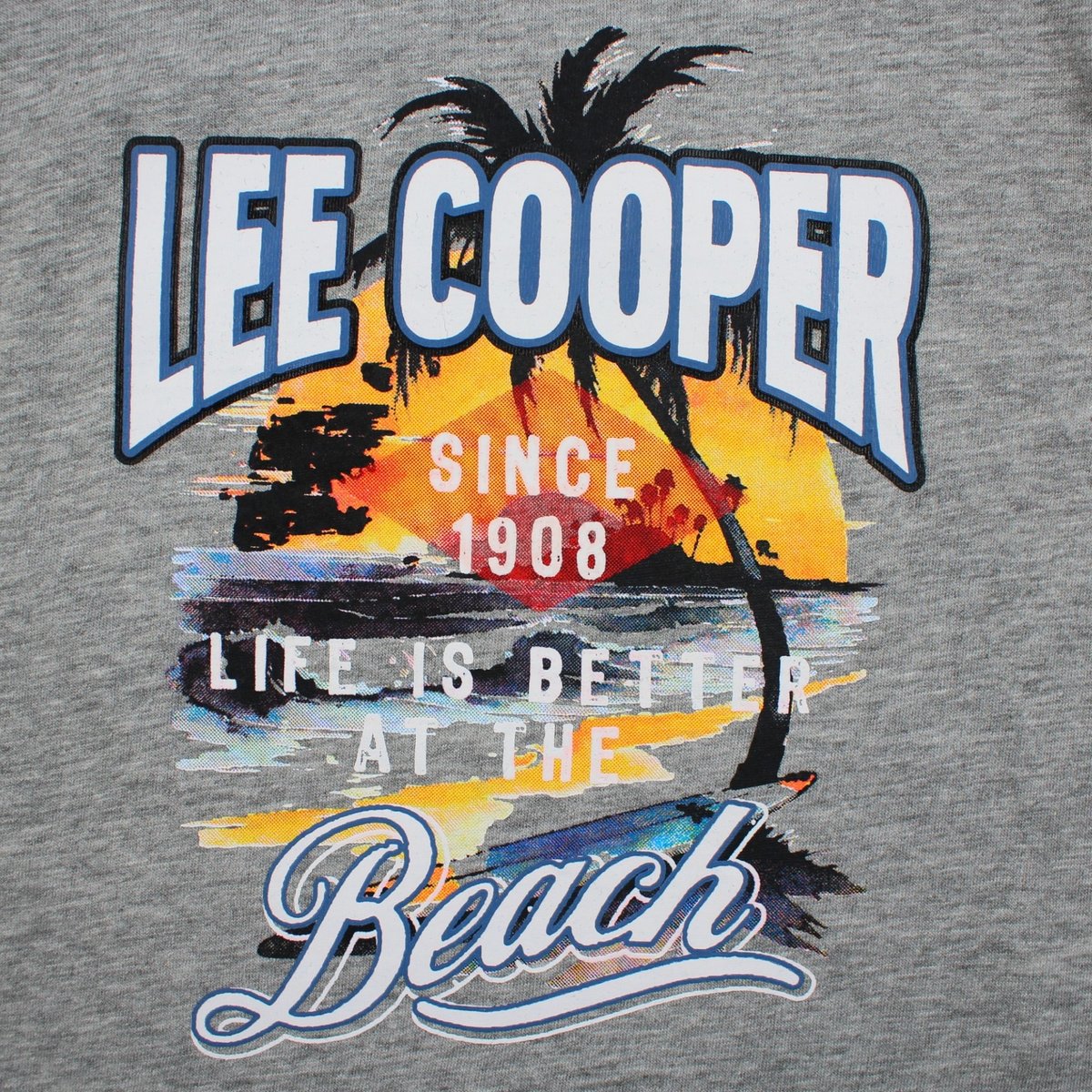 T-shirt manches courtes imprimé plage, col rond AVENTURE gris, LEE COOPER