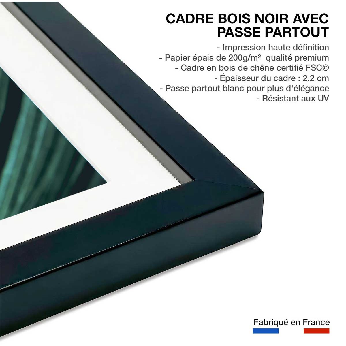 Affiche feuille palmen affiche + cadre en bois - noir, HEXOA