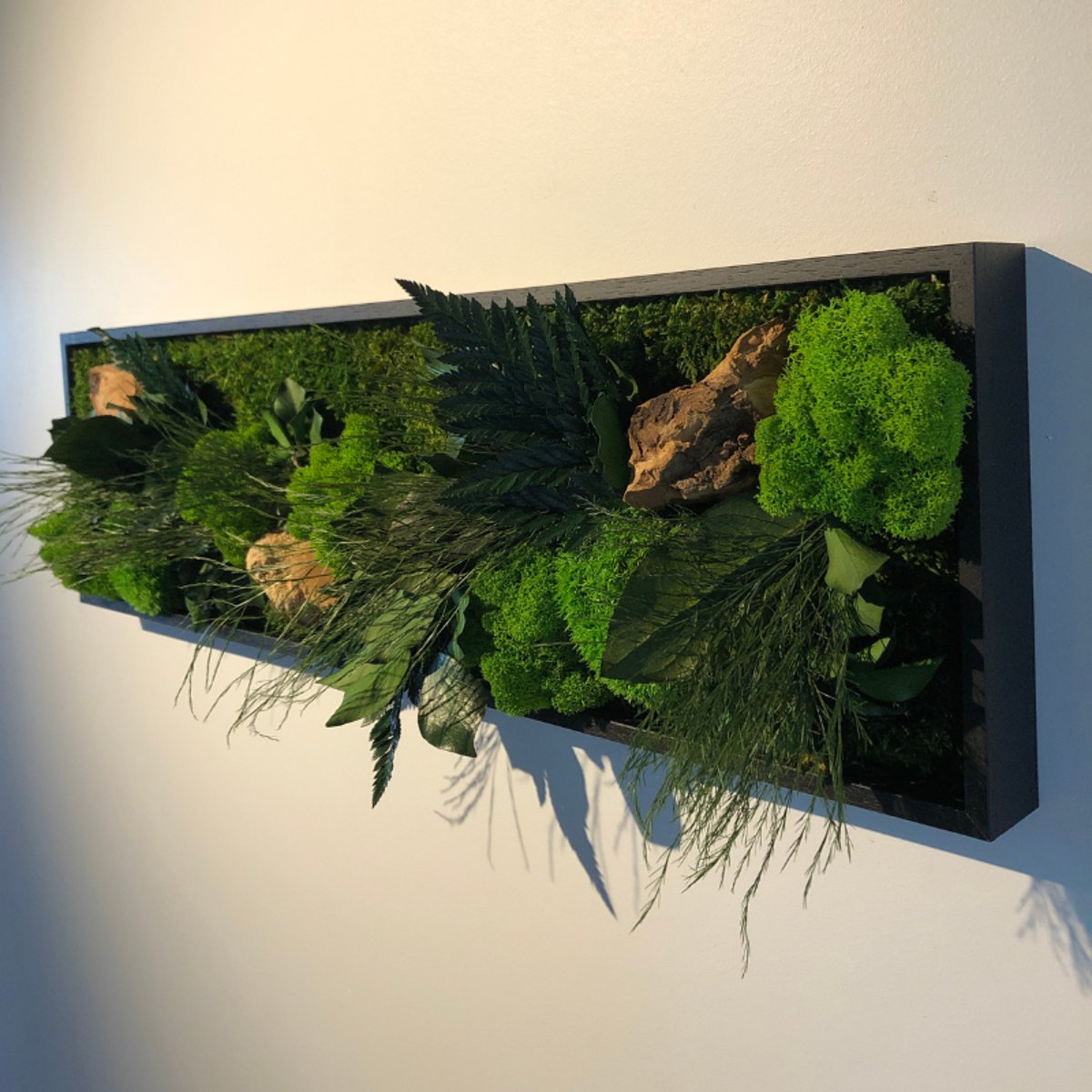 Grand tableau végétaux stabilisés 20x70 multicolore, NATURE ET DECOUVERTES