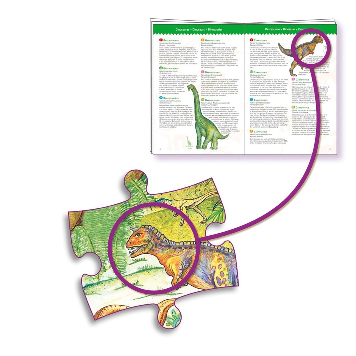 Puzzle d'observation Dinosaures et livret 100 pièce multicolore, DJECO