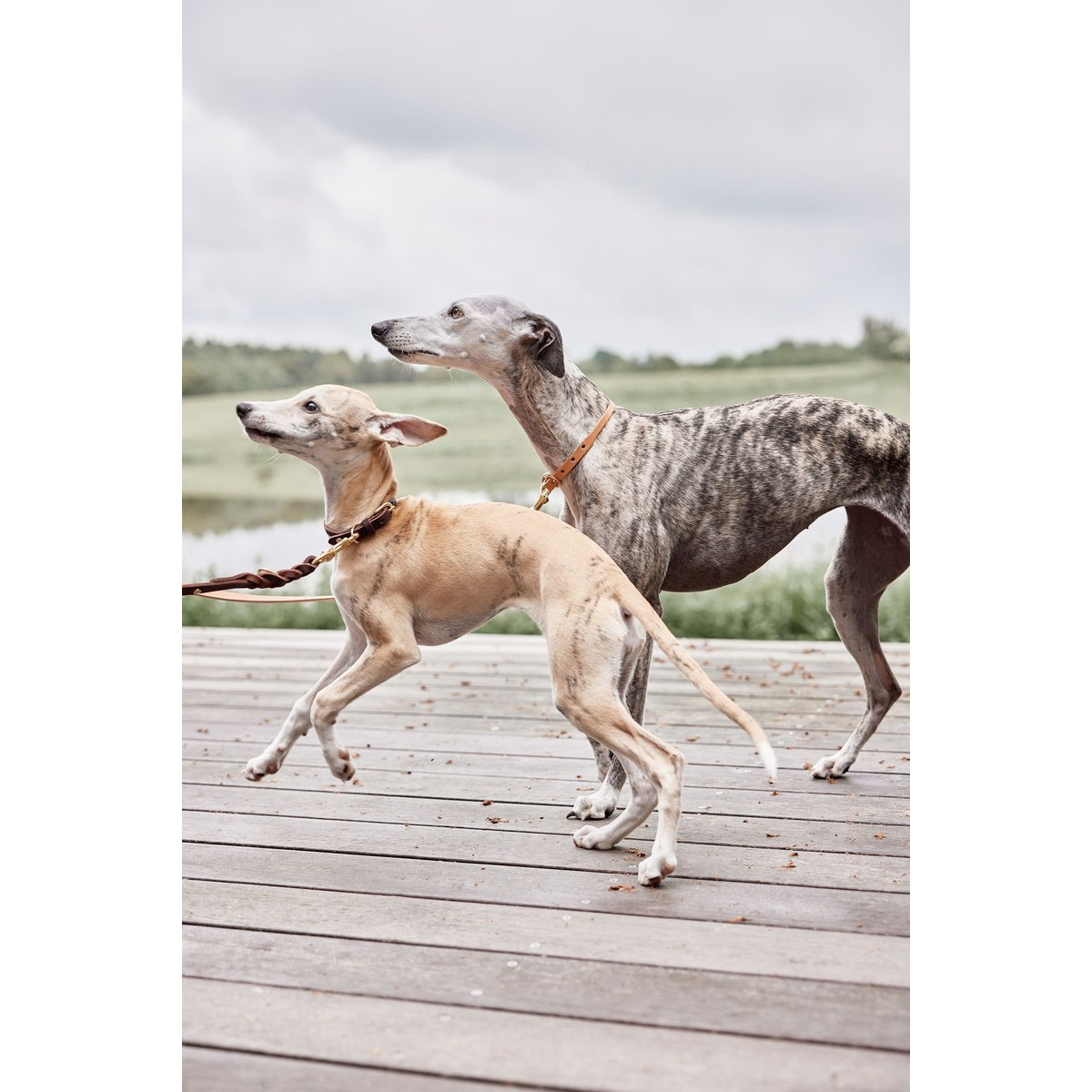 Laisser seul en cuir pour chien LIVING brun, OYOY LIVING DESIGN