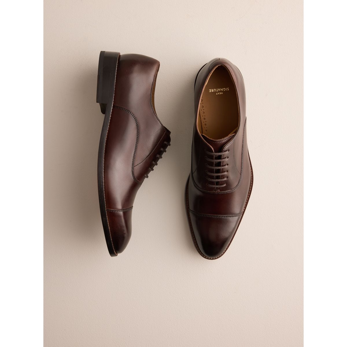 Chaussures oxford en cuir avec bout renforcé signature marron foncé, NEXT