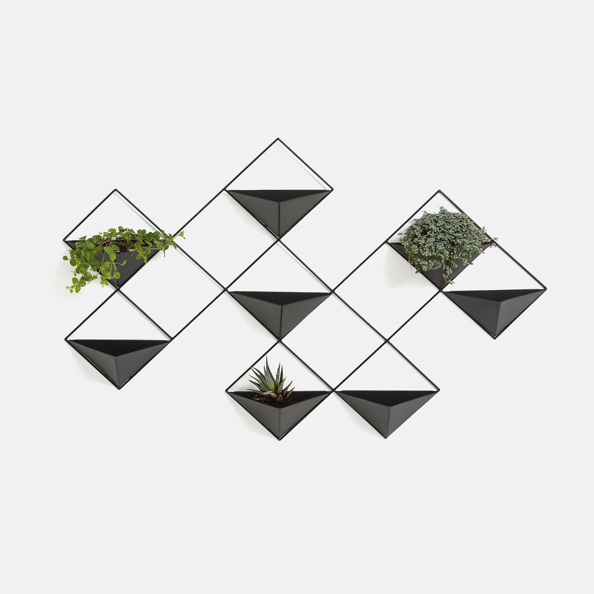 Porta-vaso da parete metallo ferro Ikebana nero , LA REDOUTE INTERIEURS