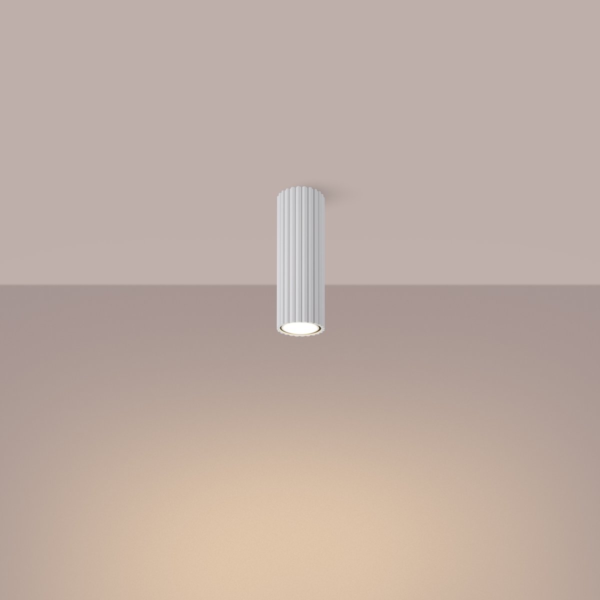 Plafonnier Aluminium Blanc GU10 1 Karbon 20 blanc, EDEN