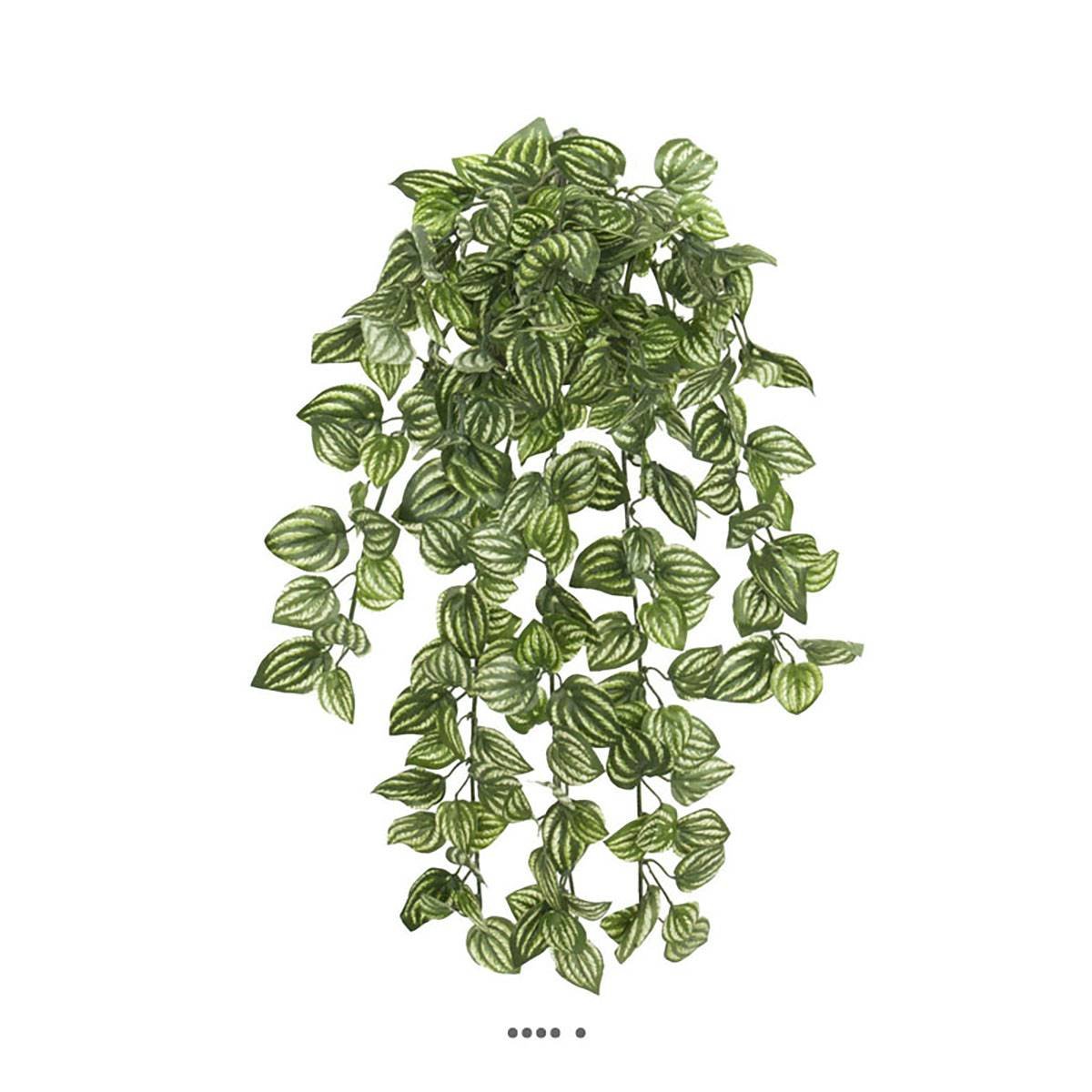 Chute d'Aphelandra artifici v002239, ARTIFICIELLES