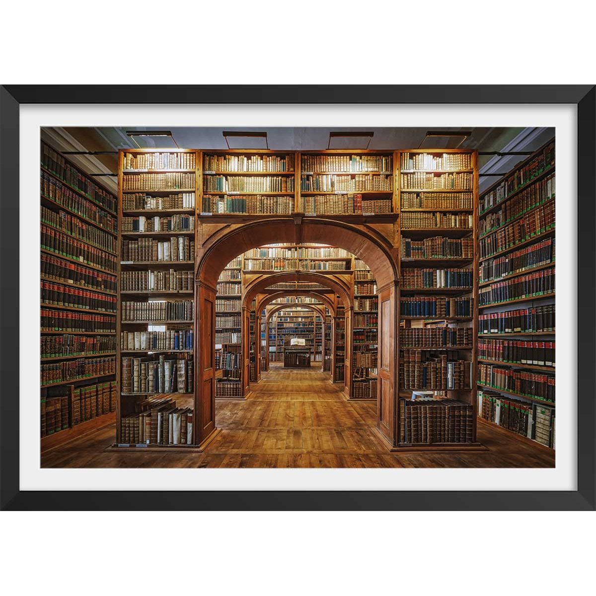 Affiche photo librairie des sciences - affiche + cadre en bois - noir, HEXOA