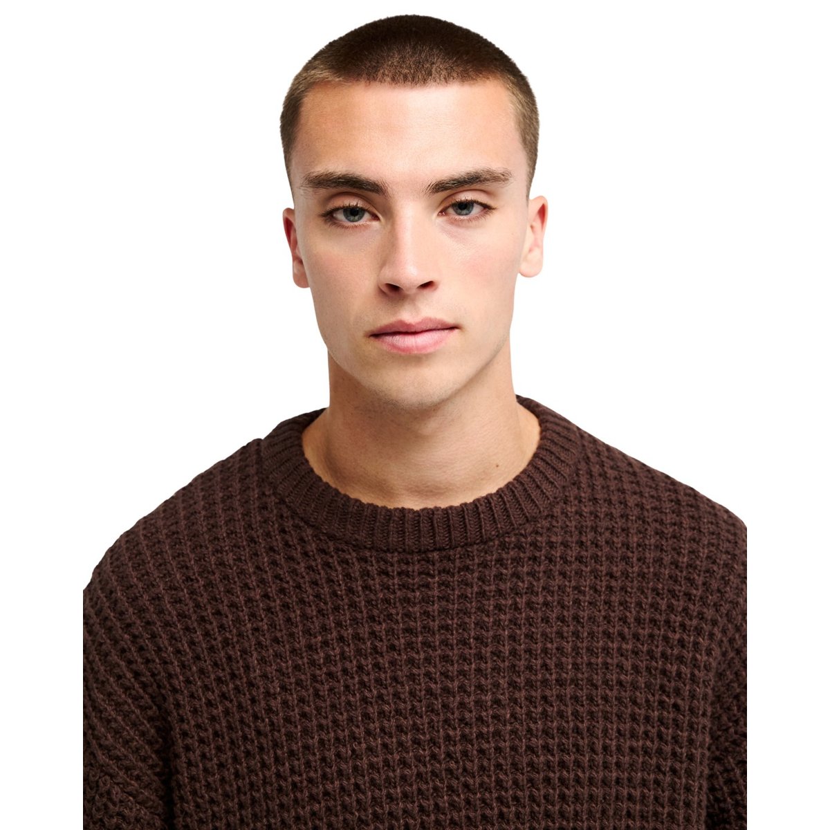 Pull MORRIS WAFFLE marron java, QUIKSILVER