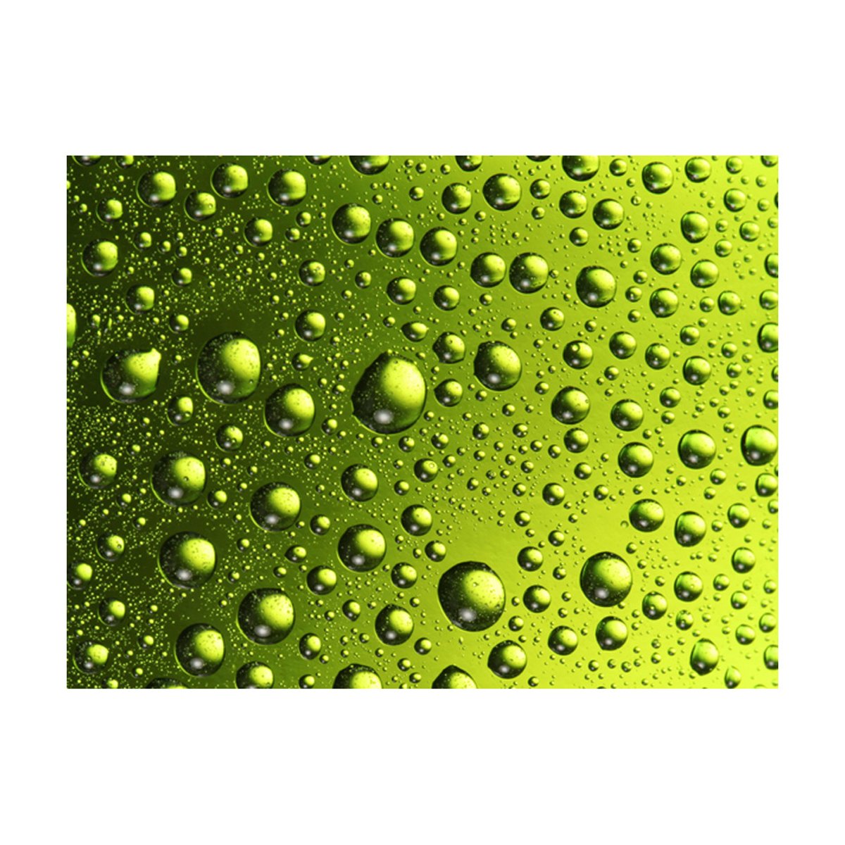 Papier peint intissé panoramique Gouttes d'eau sur la bouteille de bière vert, EDEN