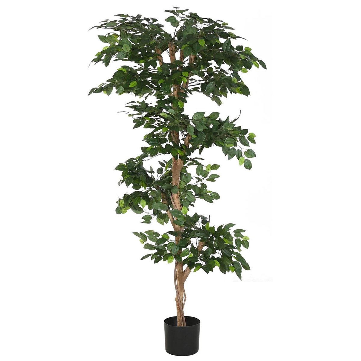 Plante artificielle d'intérieur ficus 56x56x150cm vert, WADIGA