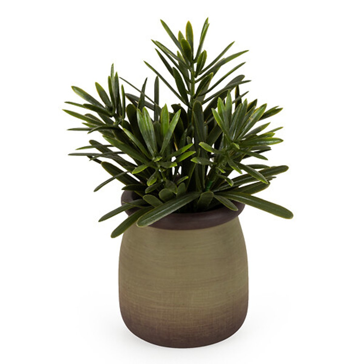 16.5cm Artificial Rosemary in Pot green, SO'HOME
