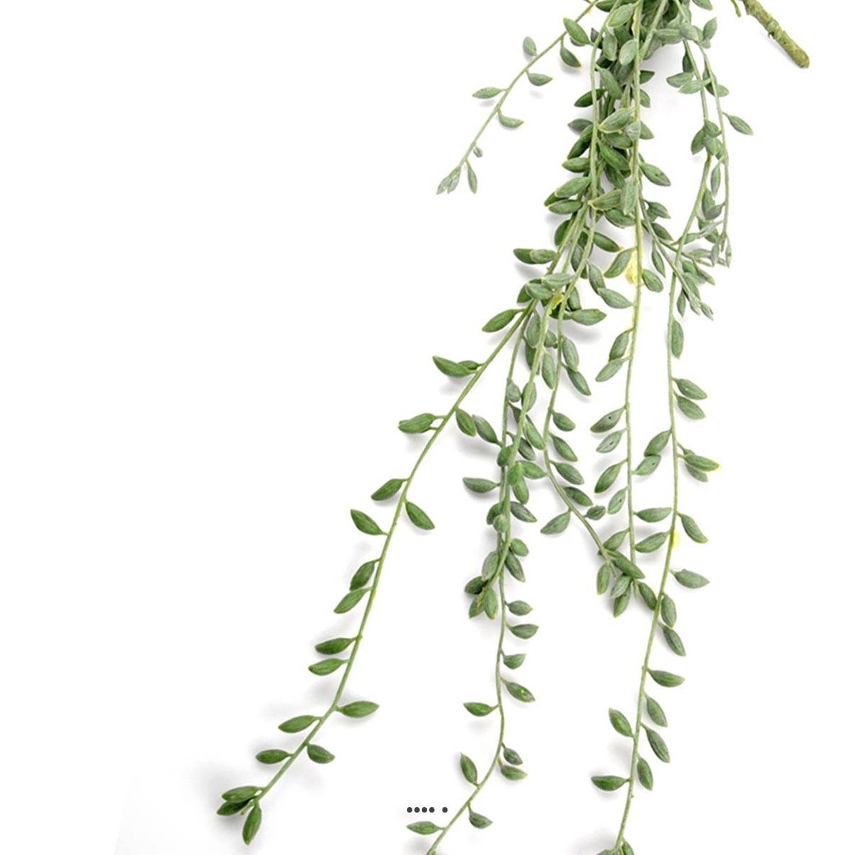 Chute de Senecio artificiel, L 52 cm, D 15 v002239, ARTIFICIELLES