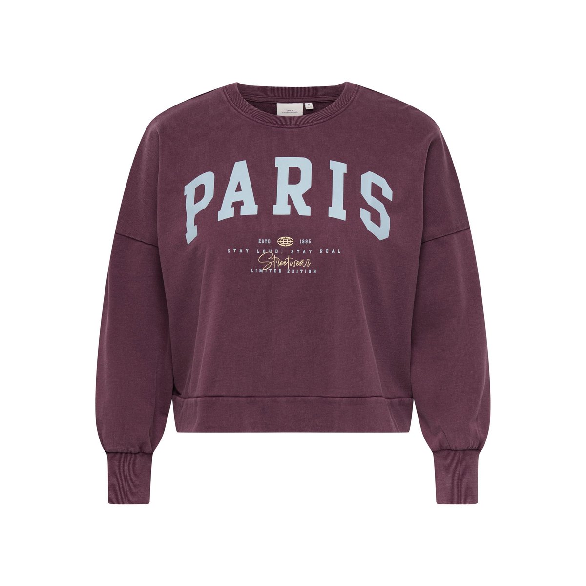 Sweat-Shirt violette - fig 1, ONLY CARMAKOMA