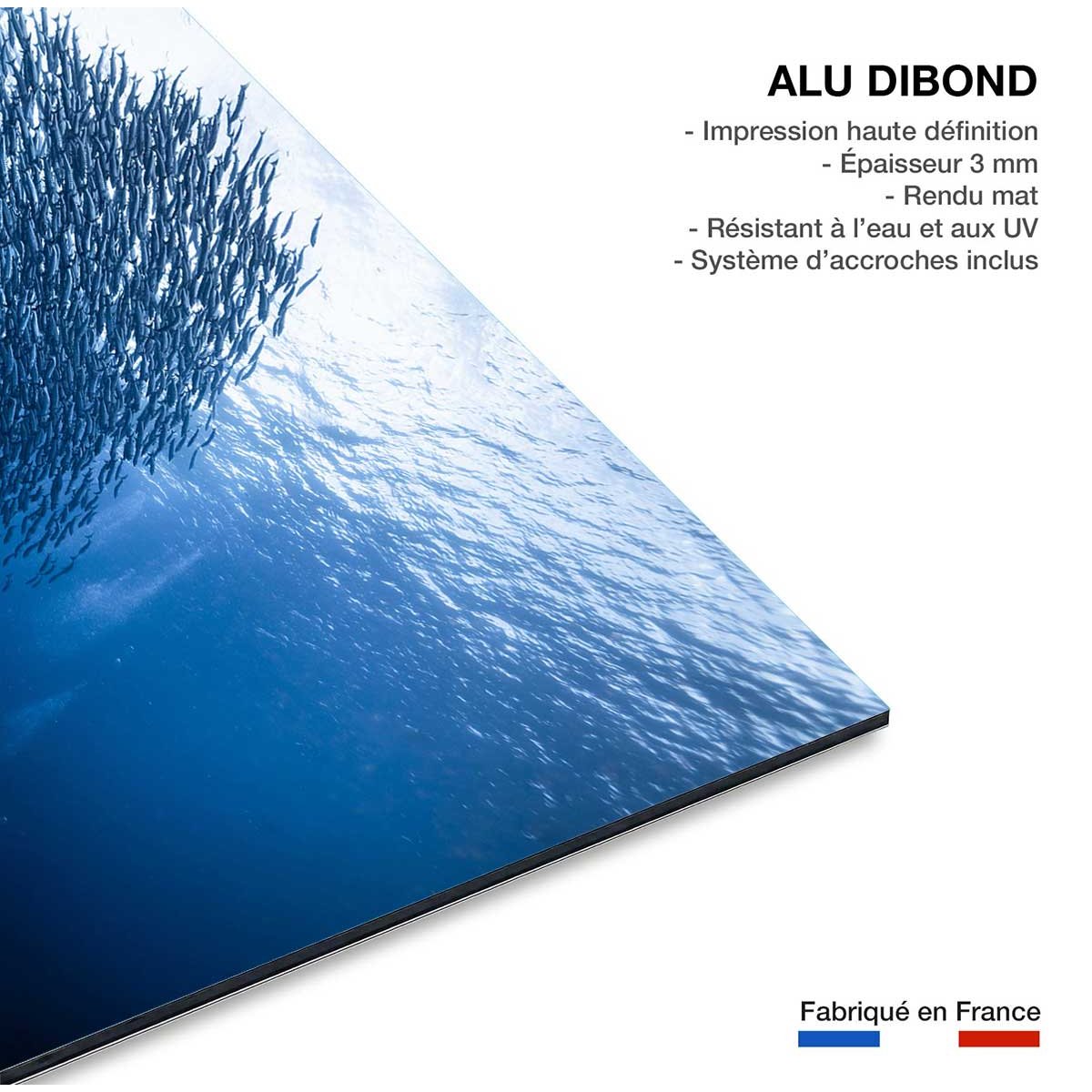 Tableau Masse bleue tableau alu dibond, HEXOA