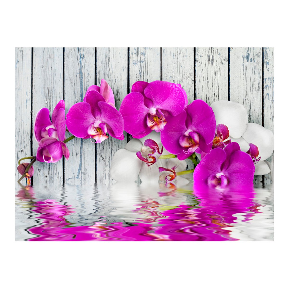 Papier peint intissé panoramique Fleurs Violet orchids with water reflexion gris / argent, EDEN