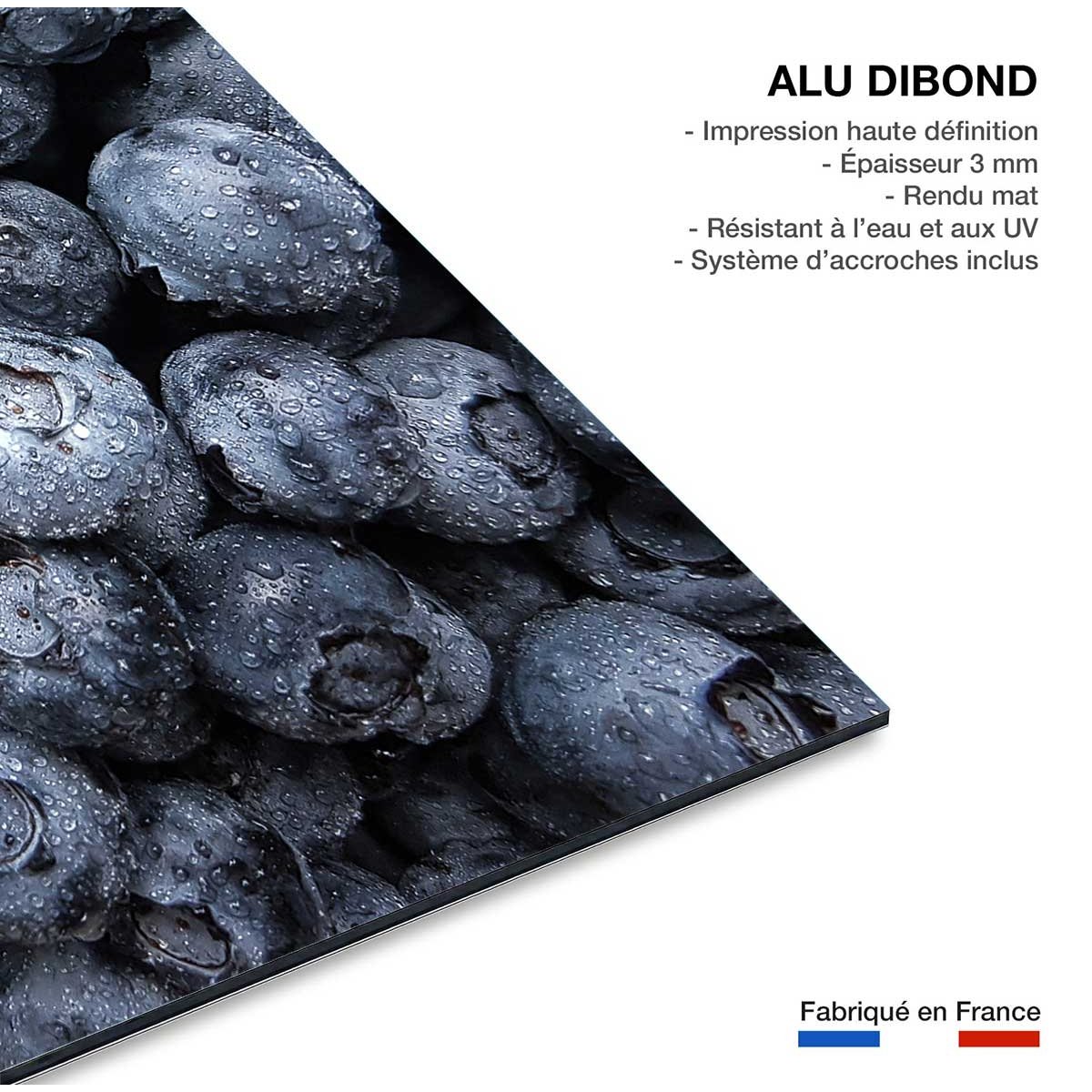 Tableau fruit cure de cassis tableau alu dibond, HEXOA