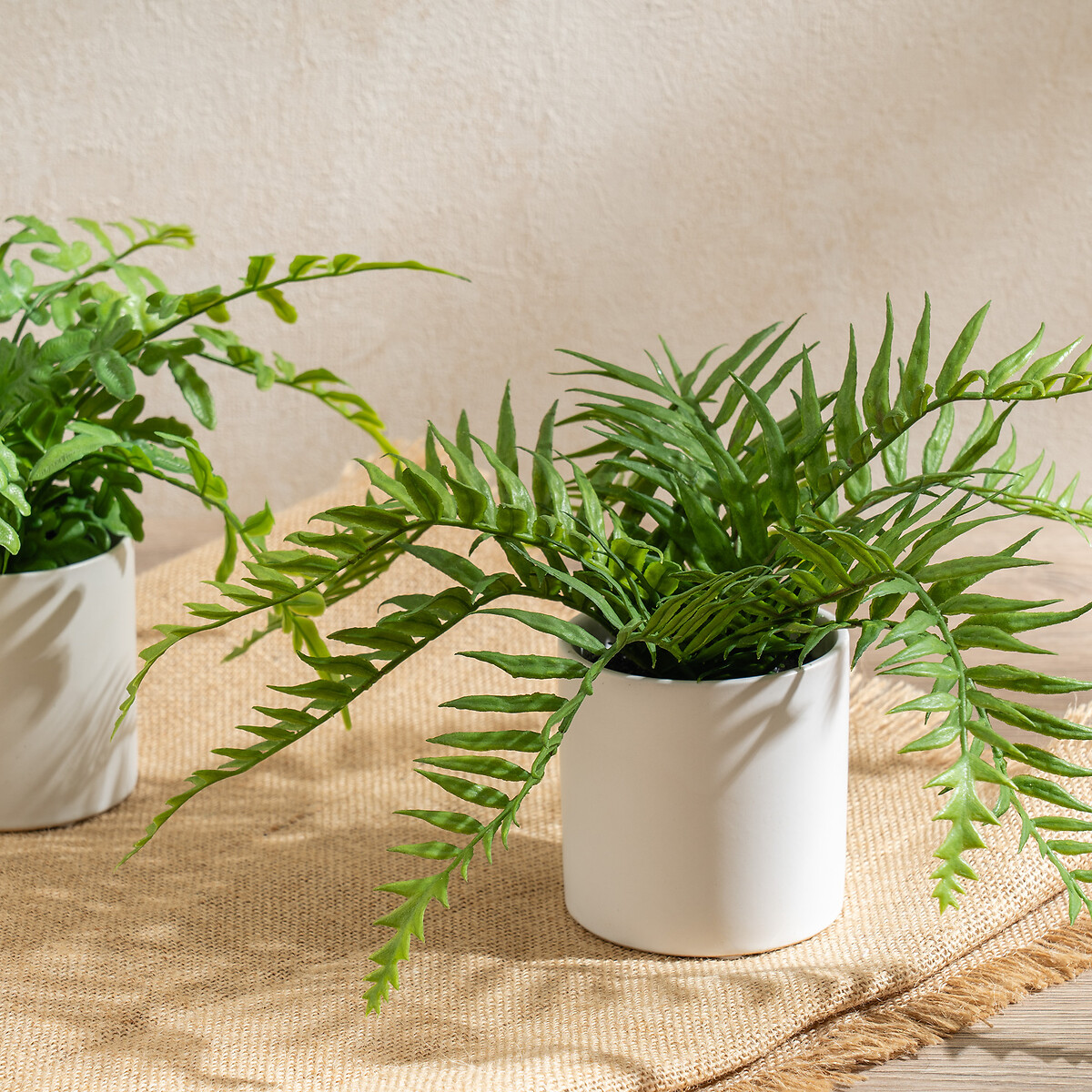 Set of 2 Ferns in White Ceramic Pot green, SO'HOME