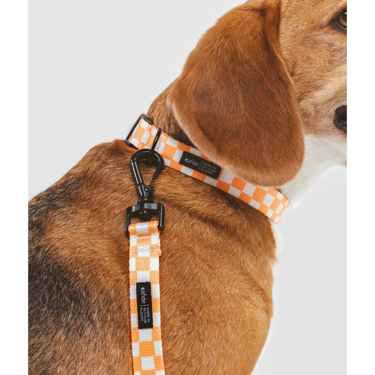 Collier pour chien en PET recyclé, JUNO orange, CAFIDE