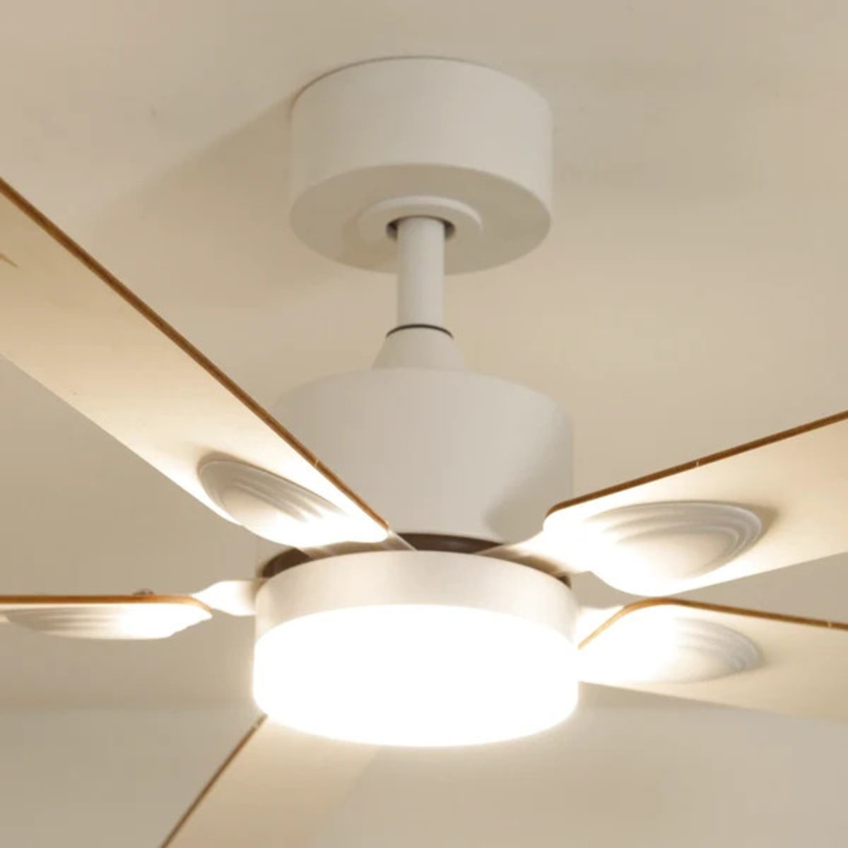 Plafonnier ventilateur en bois de peuplier MISTRAL bois clair, ATELIER LOUPIOTE