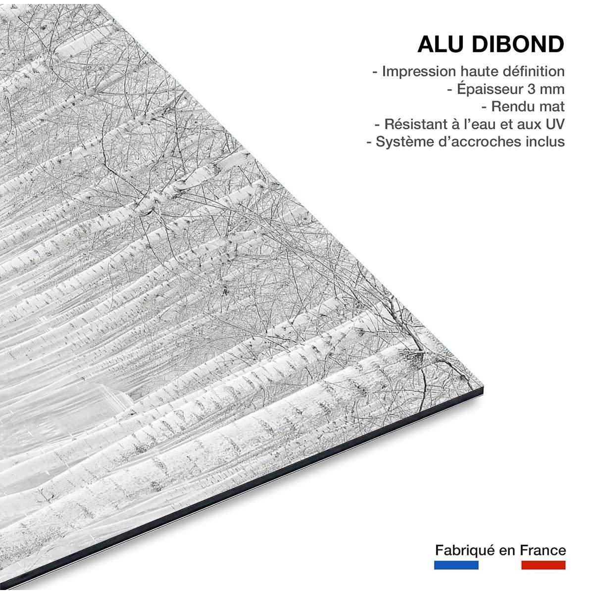 Tableau nature perspective trees tableau alu dibond, HEXOA