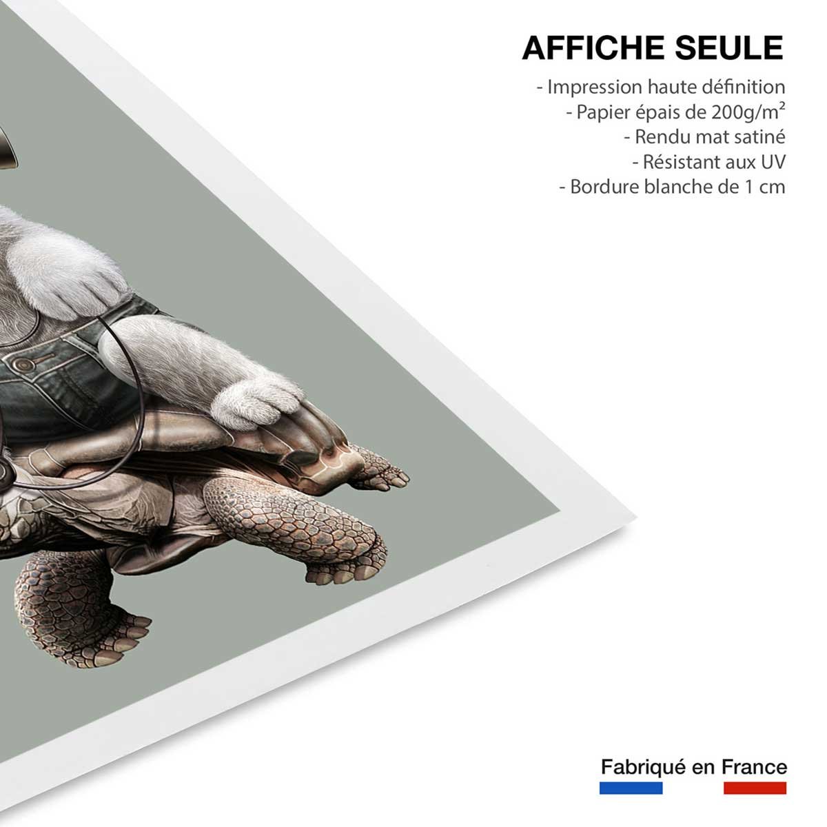 Affiche enfant chat sur une tortue affiche seule, HEXOA