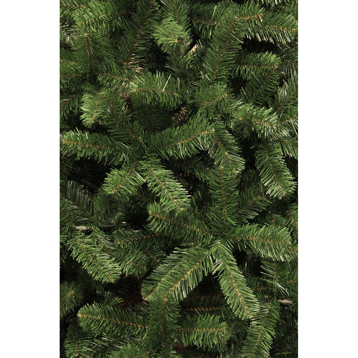 Sapin de Noël H185 cm CHARLTON vert, BLACK BOX TREES