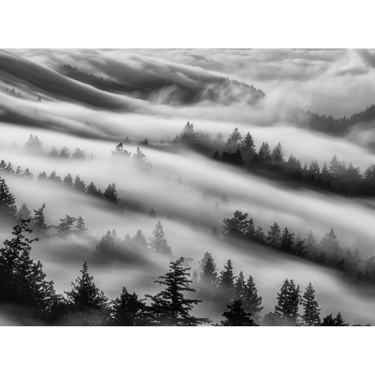 Papier peint brume du matin intissé, HEXOA