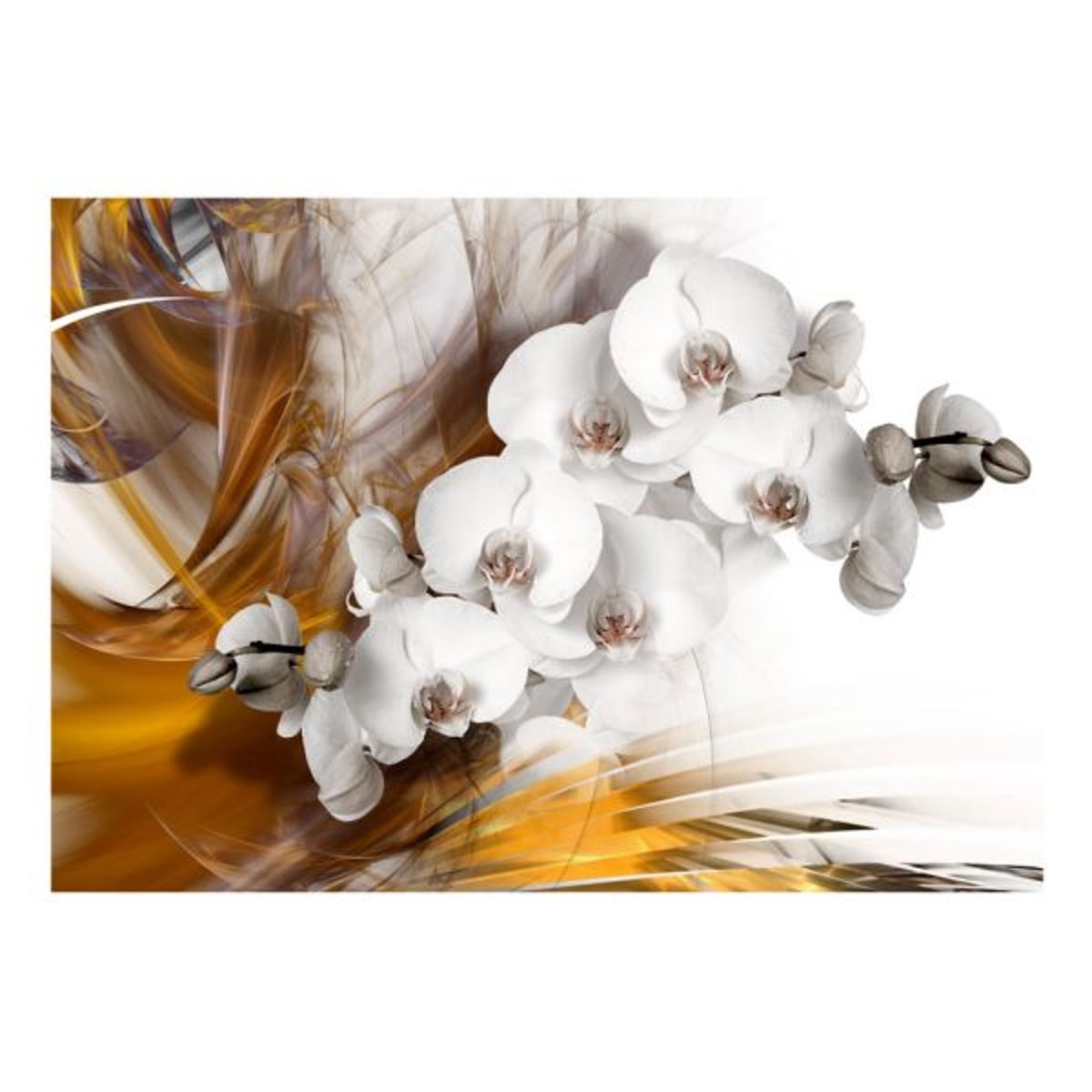 Papier peint intissé panoramique Fleurs Orchid on fire gris / argent, EDEN
