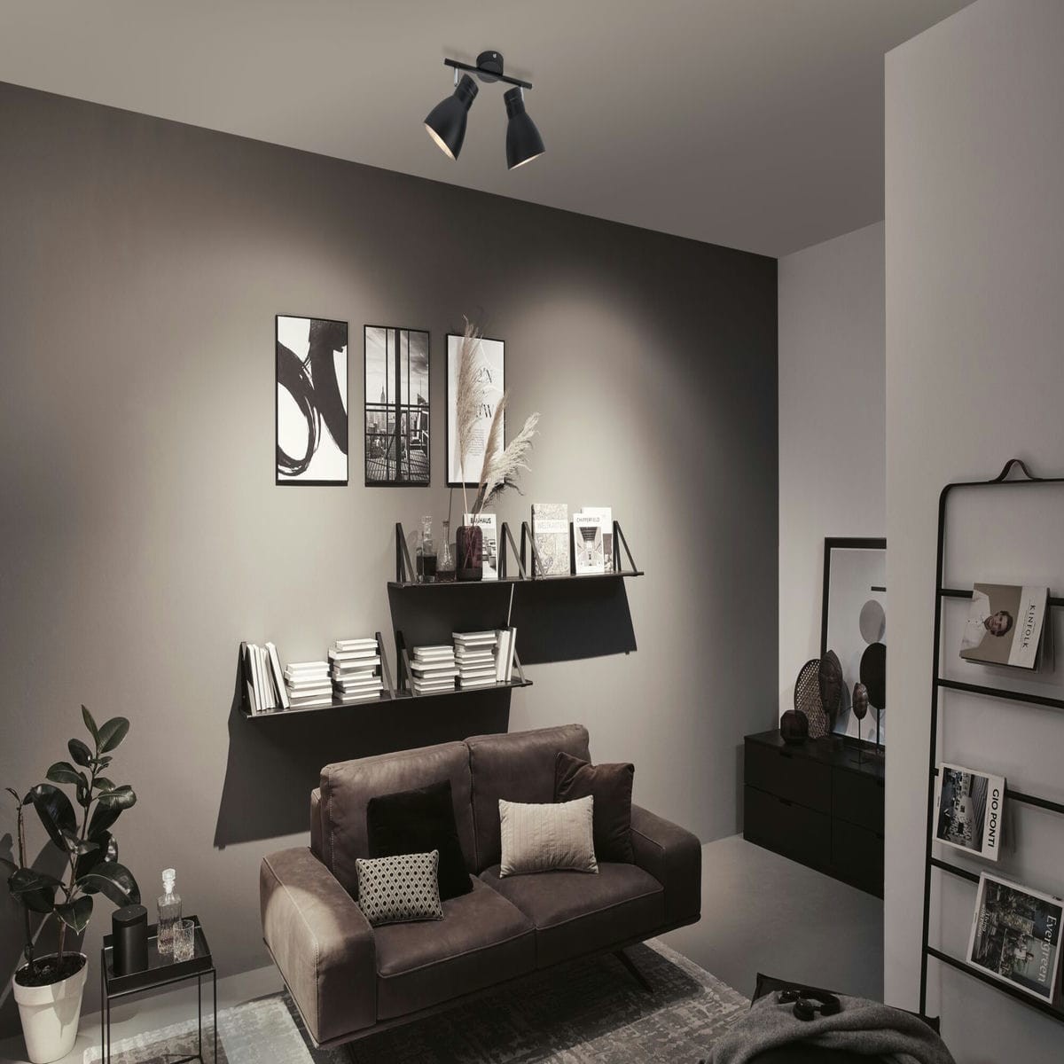 Spot réglette 2 lumières davy noir 2x20w noir, PAULMANN