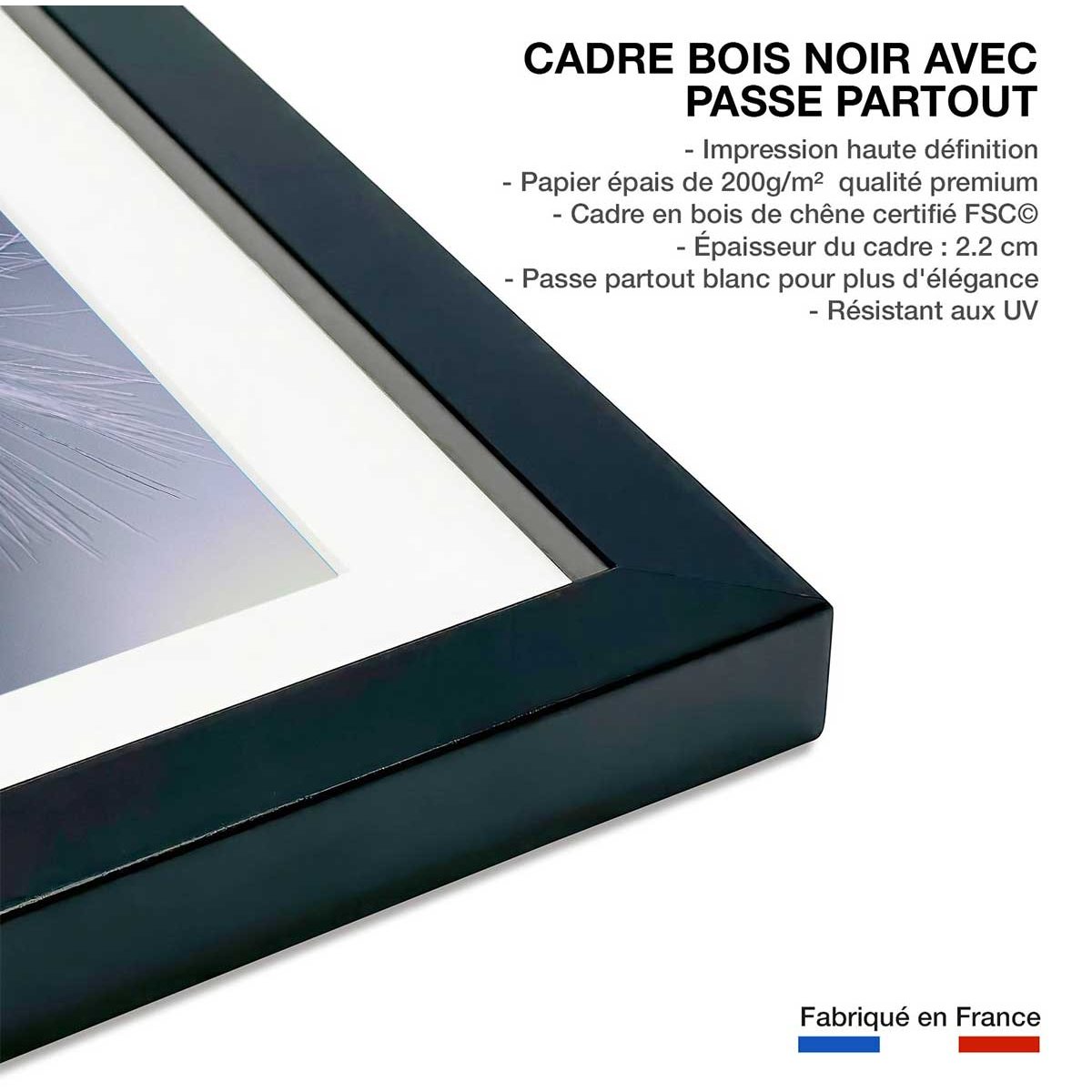 Affiche fleurs dandelion seeds affiche + cadre en bois - noir, HEXOA