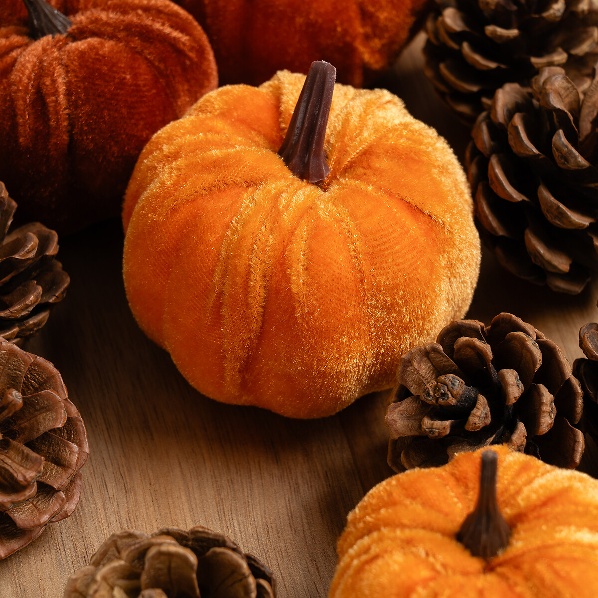 Set of Decorative Velvet Pumpkins and Pinecones orange, SO'HOME