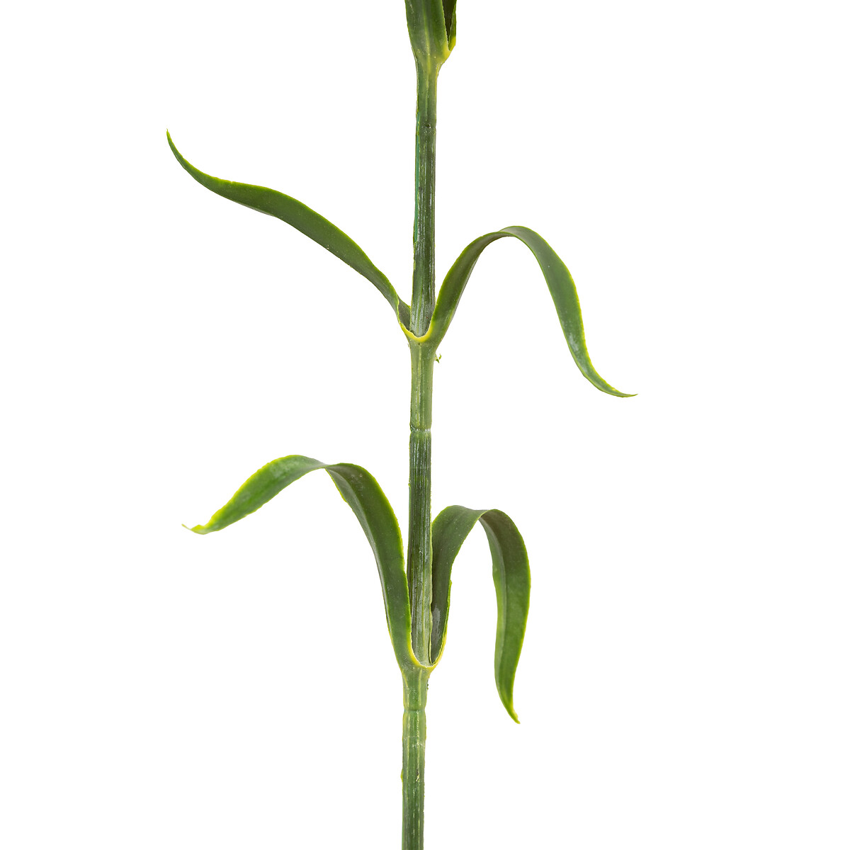 12pk 54cm Statement Bloom Faux Stems green, ÉDITÉ