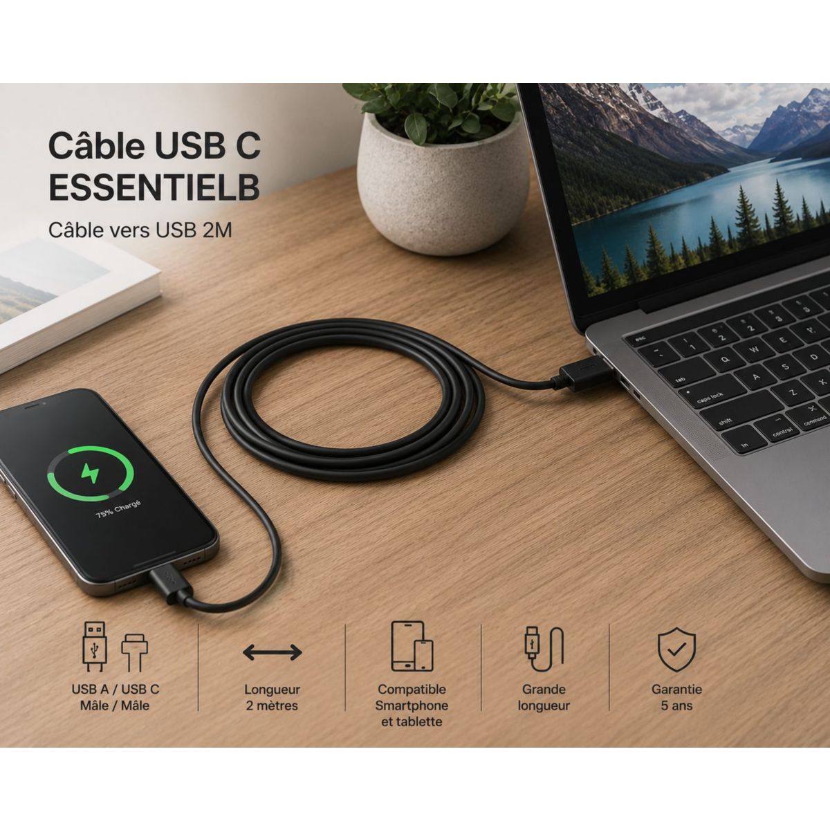 Câble USB C Câble vers USB 2M Noir compatible iPhone 17 16 15 Pro Max, Samsung Galaxy S25 S24 Ultra couleur unique, ESSENTIEL B