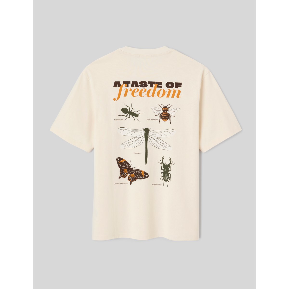 T-shirt imprimé devant / dos naturel, BZB