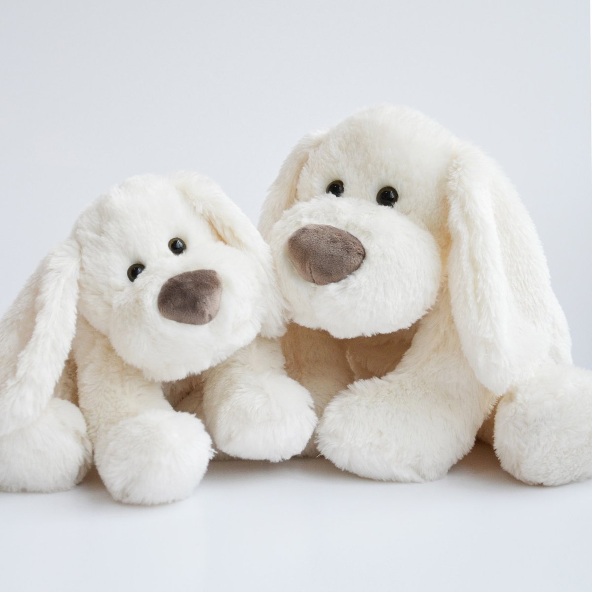 Peluche Chien ivoire, HISTOIRE D'OURS