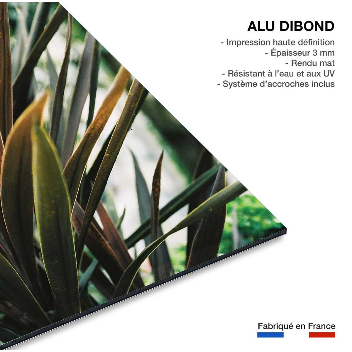 Tableau fleur de yucca et forêt tropicale tableau alu dibond, HEXOA