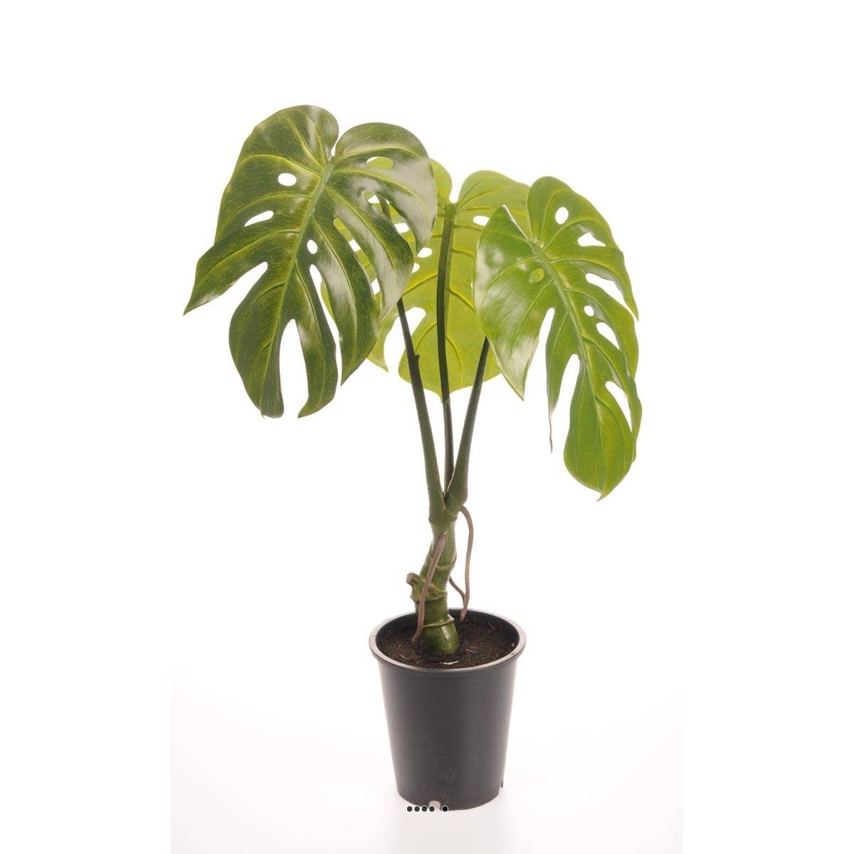Monstera deliciosa artificielle en pot H 60 v002239, ARTIFICIELLES
