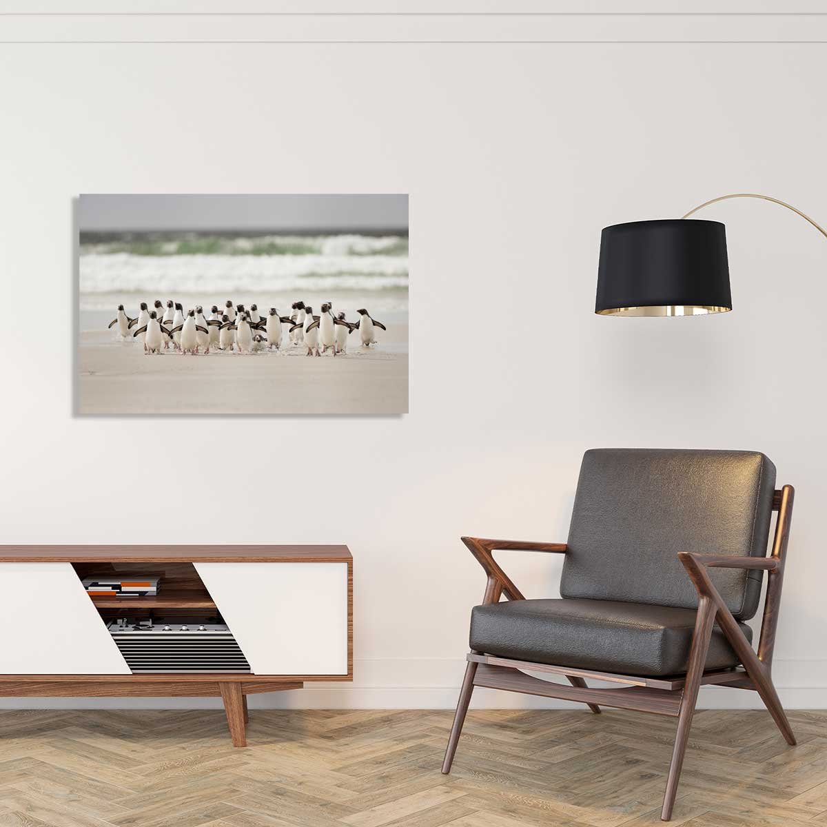 Tableau animaux pingouins tableau alu dibond, HEXOA
