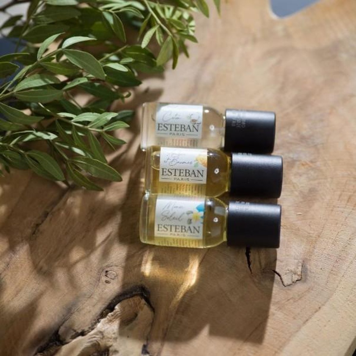 Parfum d'intérieur - Concentré de parfum Cèdre sauvage 15 ml transparent, ESTEBAN